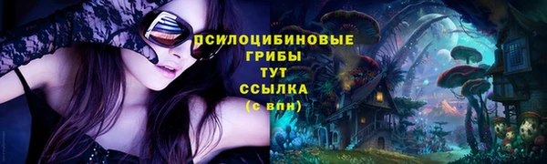 эйфоретик Беломорск